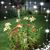 Patti Clouse's profile image