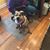 Amee Van Voorhis's profile image