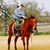Patrick Hawkins Jr.'s profile image