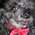 Claire Oxley's profile image