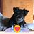 Nilsa Velez's profile image