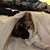 Kristi Whipple Ballard's profile image