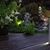 Linda Rackleff's profile image