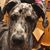 Shelley Estes Atherton's profile image