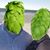 Mike Schultz's profile image