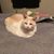Anne Burke Roberts's profile image