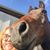 Stephanie Elisabeth Campbell's profile image