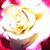 Kristine Taylor's profile image