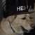 Michela Ardizzoni's profile image