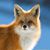 Ken Painter's profile image