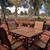 Susan Toppen's profile image