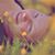 Jill Gammon Carrillo's profile image