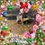 Donna Zastrow's profile image