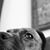 Brian Ericson's profile image