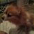 Amanda Hogg's profile image