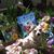 Kathy Weston's profile image