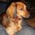 Barbara Crump's profile image