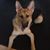 Cheyenne Laroche's profile image