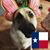 Shelley Thomas-Huckins's profile image