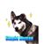 Terry Sizer's profile image