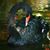 Fawziyyah Muhammad's profile image