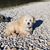 Jennifer Morris Spaulding's profile image