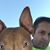 Steve Amos's profile image