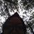 Nurhasna Fauziah's profile image