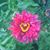 Amy Vetrone's profile image