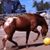 Darlene Hess Wood's profile image
