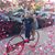 Sarah Rutledge Helton's profile image