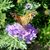Janet Richmond Summerville's profile image