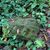 Martha Santiago Adame's profile image