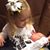 Joni Laue Manske's profile image