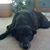 Christopher S. Lampe's profile image