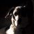 Megan Simpson's profile image