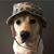 Dana Hill's profile image