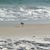 Kristina Owsley's profile image