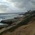 Teri Lynne Hawkins's profile image