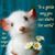 Tami Blackmore's profile image