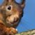 J Oliver Young's profile image