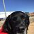 Rachel Simmons's profile image