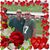 Buck Peacock's profile image