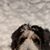 Monique Morez Felker's profile image