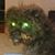 Josh Young's profile image