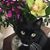 Renee Berry's profile image