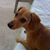 Sharon Simmons Bell's profile image