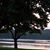 Amy Jo Harbaugh Long's profile image