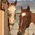 Lisa Proeger's profile image