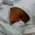 Neitra Scott's profile image